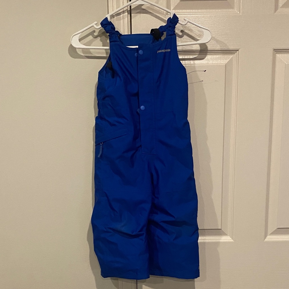 Patagonia Kids Vibrant Blue Overalls